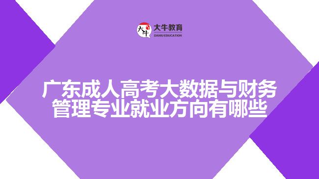 广东成人高考大数据与财务管理专业就业方向有哪些