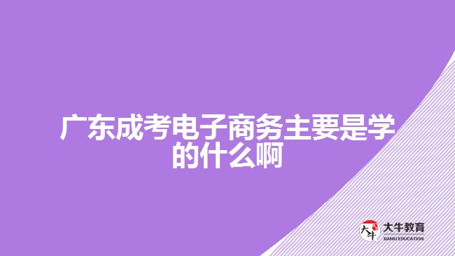 广东成考电子商务主要是学的什么啊