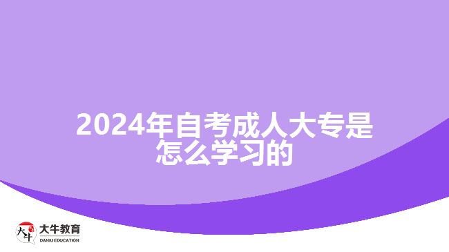 2024年自考成人大专是怎么学习的