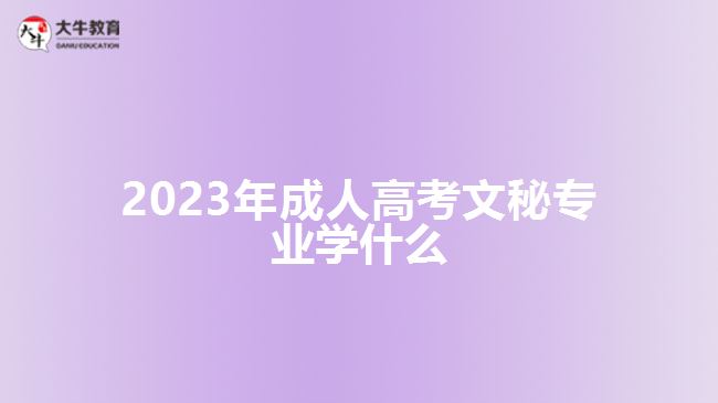 2023年成人高考文秘专业学什么