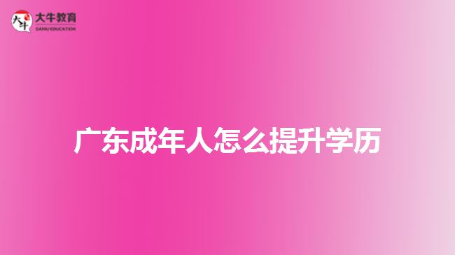 广东成年人怎么提升学历