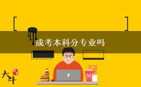 成考本科分专业吗