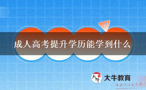 成人高考提升学历能学到什么