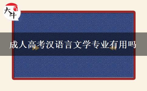 成人高考汉语言文学专业有用吗