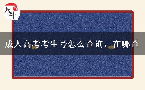 成人高考考生号怎么查询，在哪查