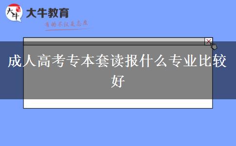 成人高考专本套读报什么专业比较好