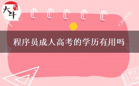 程序员成人高考的学历有用吗
