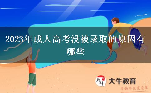 2023年成人高考没被录取的原因有哪些