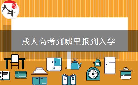 成人高考到哪里报到入学