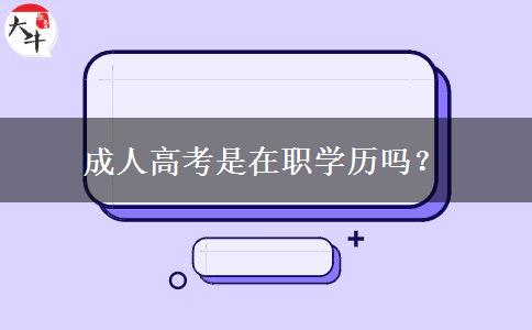 成人高考是在职学历吗？