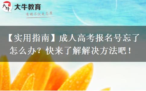 成人高考报名号忘了怎么办?