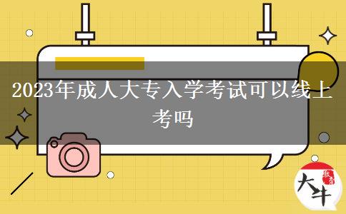 2023年成人大专入学考试可以线上考吗