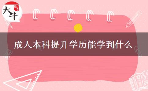 成人本科提升学历能学到什么