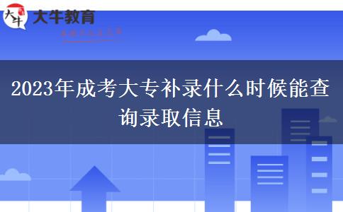 2023年成考大专补录什么时候能查询录取信息