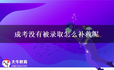 成考没有被录取怎么补救呢