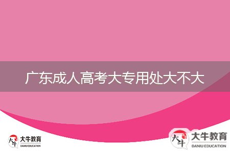 广东成人高考大专用处大不大