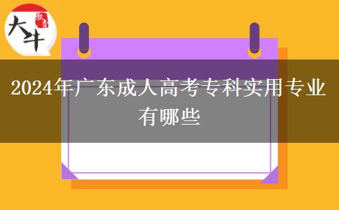 2024年广东成人高考专科实用专业有哪些
