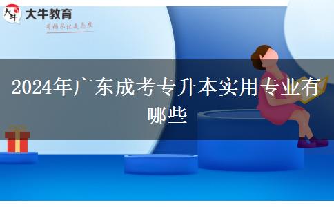 2024年广东成考专升本实用专业有哪些