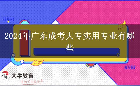 2024年广东成考大专实用专业有哪些