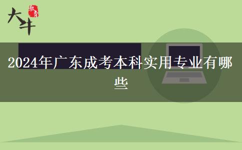2024年广东成考本科实用专业有哪些