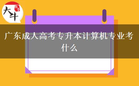 广东成人高考专升本计算机专业考什么