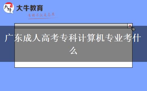 广东成人高考专科计算机专业考什么