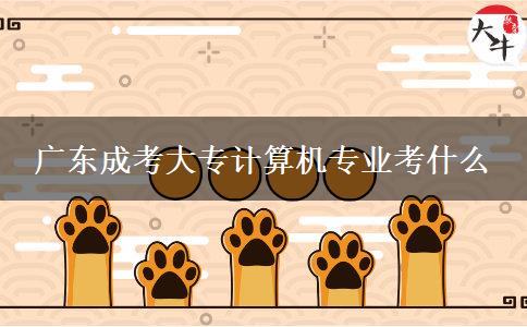 广东成考大专计算机专业考什么