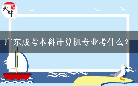 广东成考本科计算机专业考什么？