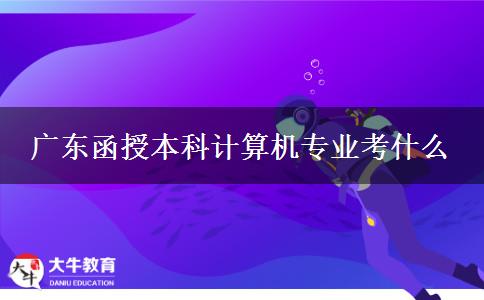 广东函授本科计算机专业考什么
