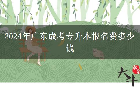 2024年广东成考专升本报名费多少钱