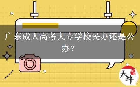 广东成人高考大专学校民办还是公办？