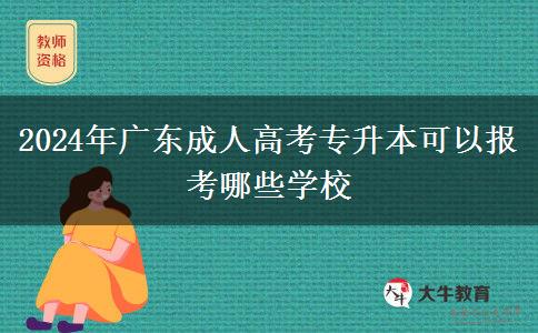 2024年广东成人高考专升本可以报考哪些学校