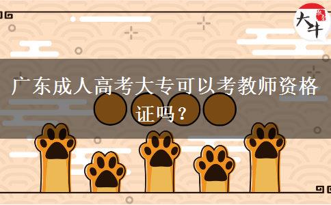 广东成人高考大专可以考教师资格证吗？