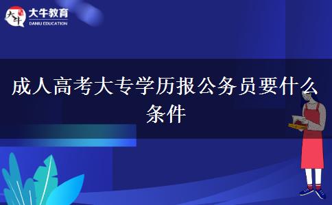成人高考大专学历报公务员要什么条件