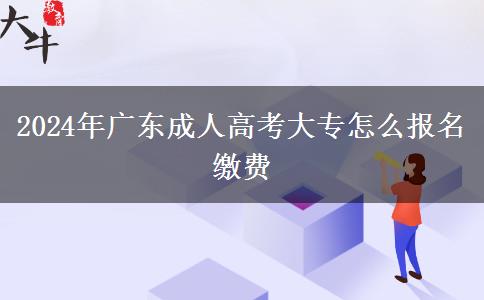 2024年广东成人高考大专怎么报名缴费