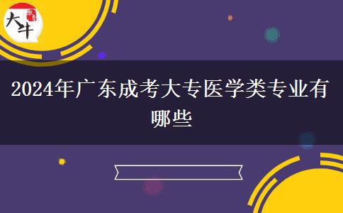2024年广东成考大专医学类专业有哪些