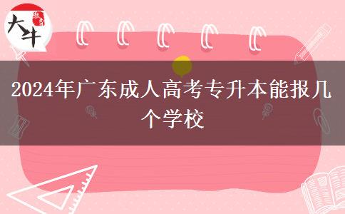 2024年广东成人高考专升本能报几个学校