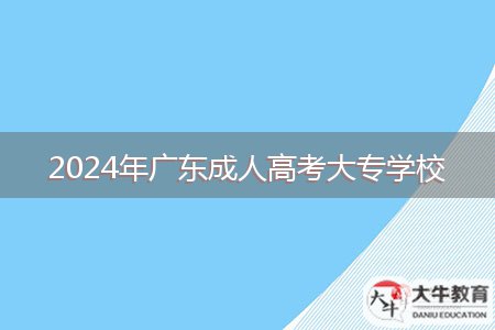 2024年广东成人高考大专学校