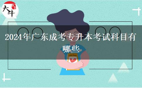 2024年广东成考专升本考试科目有哪些