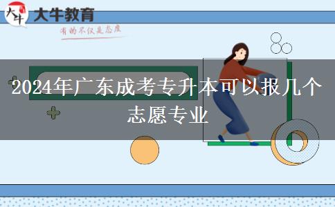 2024年广东成考专升本可以报几个志愿专业