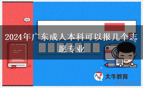 2024年广东成人本科可以报几个志愿专业