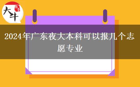 2024年广东夜大本科可以报几个志愿专业