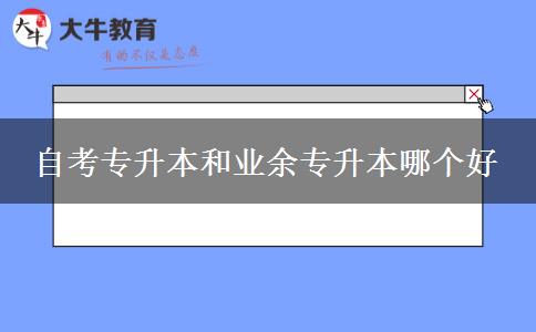 自考专升本和业余专升本哪个好
