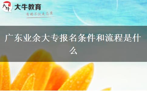 广东业余大专报名条件和流程是什么