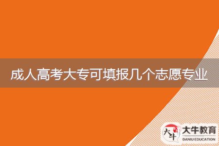 成人高考大专可填报几个志愿专业
