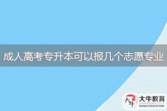 2024年广东成人高考专升本可以报几个志愿专业
