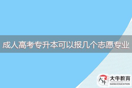 成人高考专升本可以报几个志愿专业