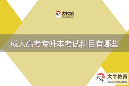 成人高考专升本考试科目有哪些