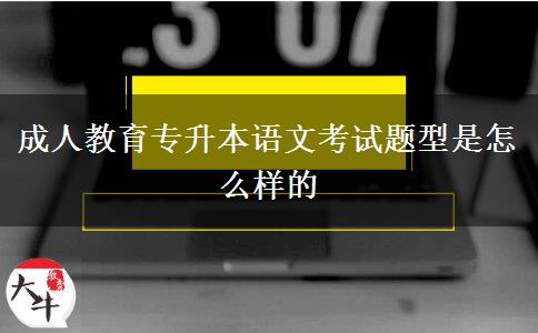成人教育专升本语文考试题型是怎么样的