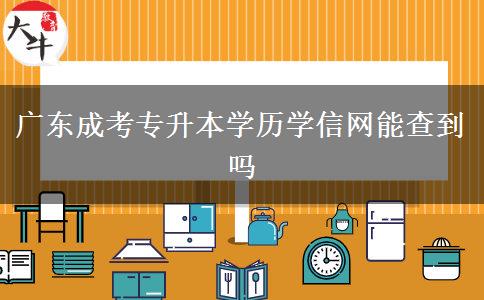 广东成考专升本学历学信网能查到吗